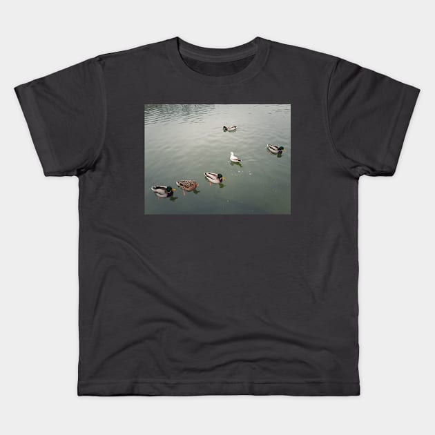 wild ducks Kids T-Shirt by psychoshadow